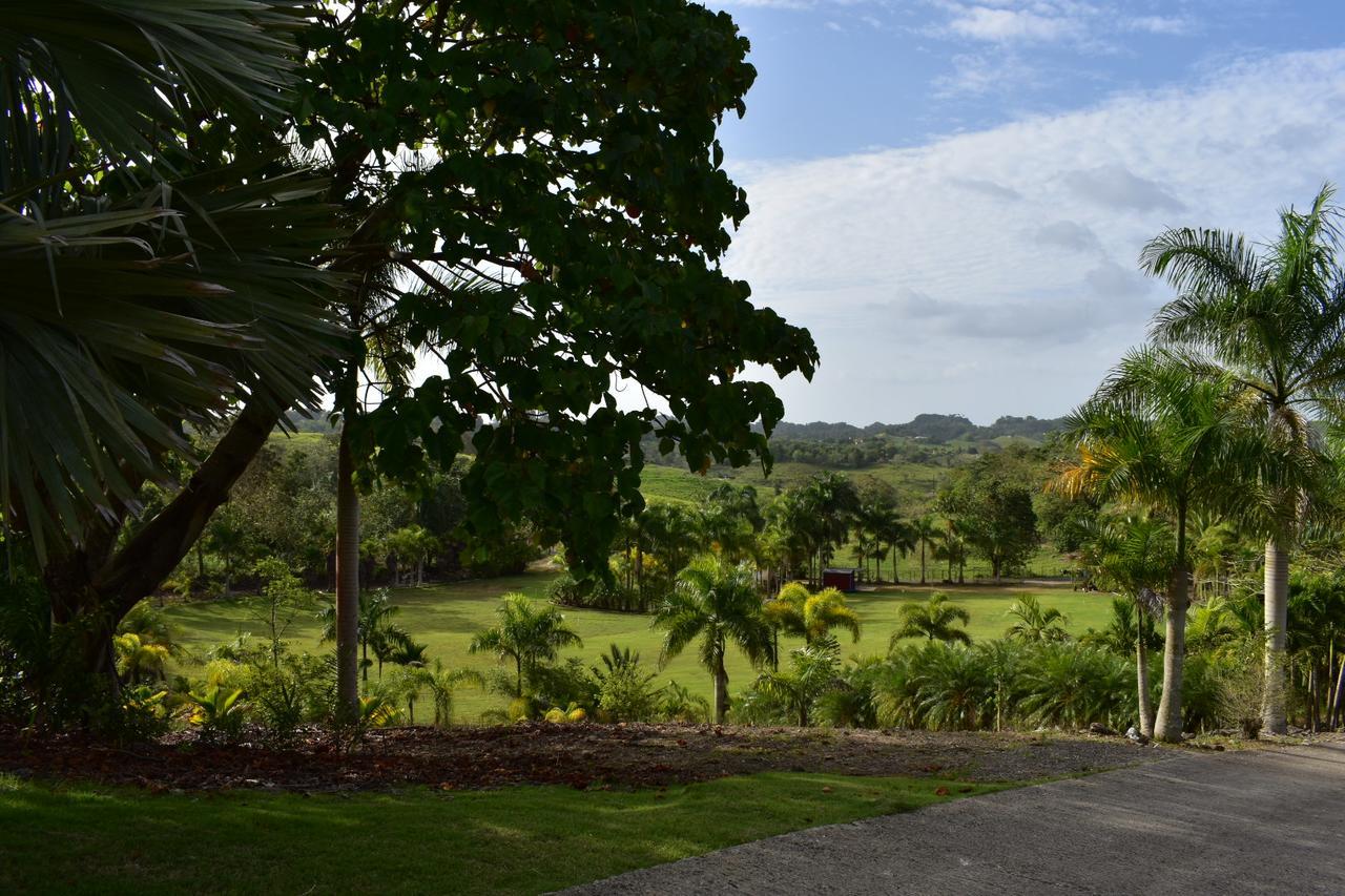 Hotel Hacienda Agroturistico Vista Hermosa Camuy Eksteriør billede
